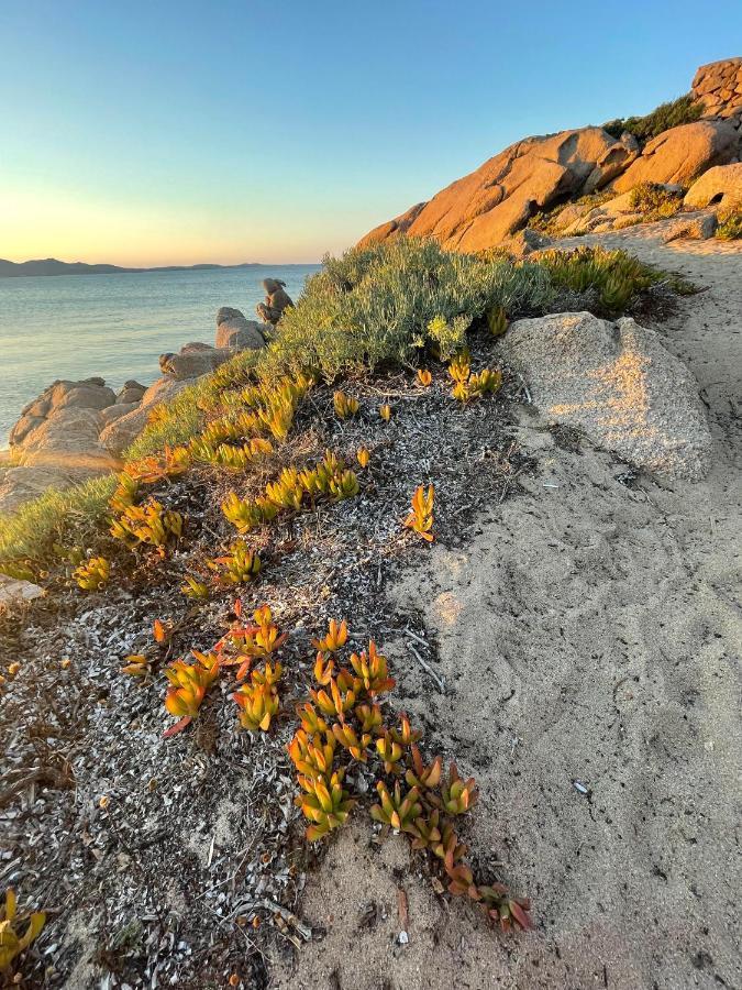 Yucca Lejlighed Olbia Eksteriør billede