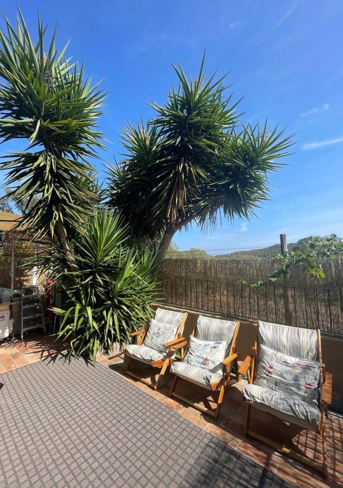 Yucca Lejlighed Olbia Eksteriør billede